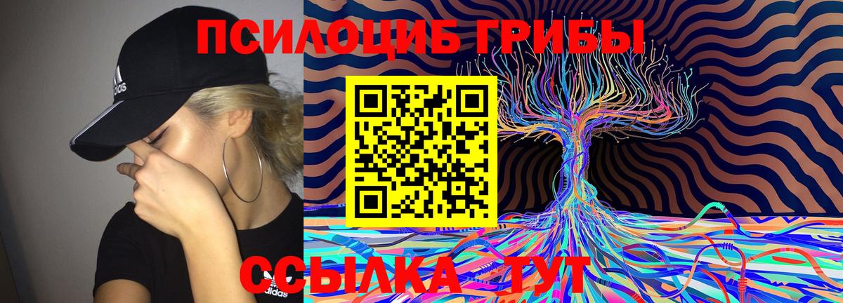 Бугуруслан  Псилоцибиновые грибы Psilocybe  Вход с VPN  Псилоцибиновые грибы Magic Shrooms 